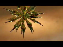 Load and play video in Gallery viewer, BioProtect RTU 4x1 Gallon Case