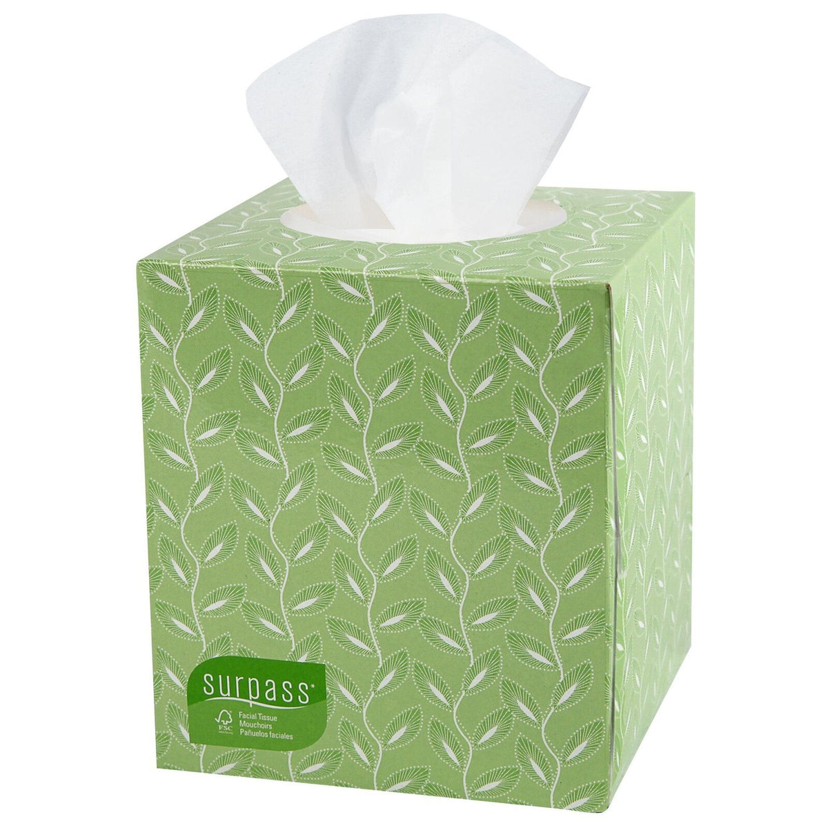 Surpass Boutique Cubed Box Facial Tissue – Scalzo Supply